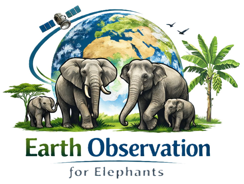 EO4 Elephants — Earth Observation for Elephants