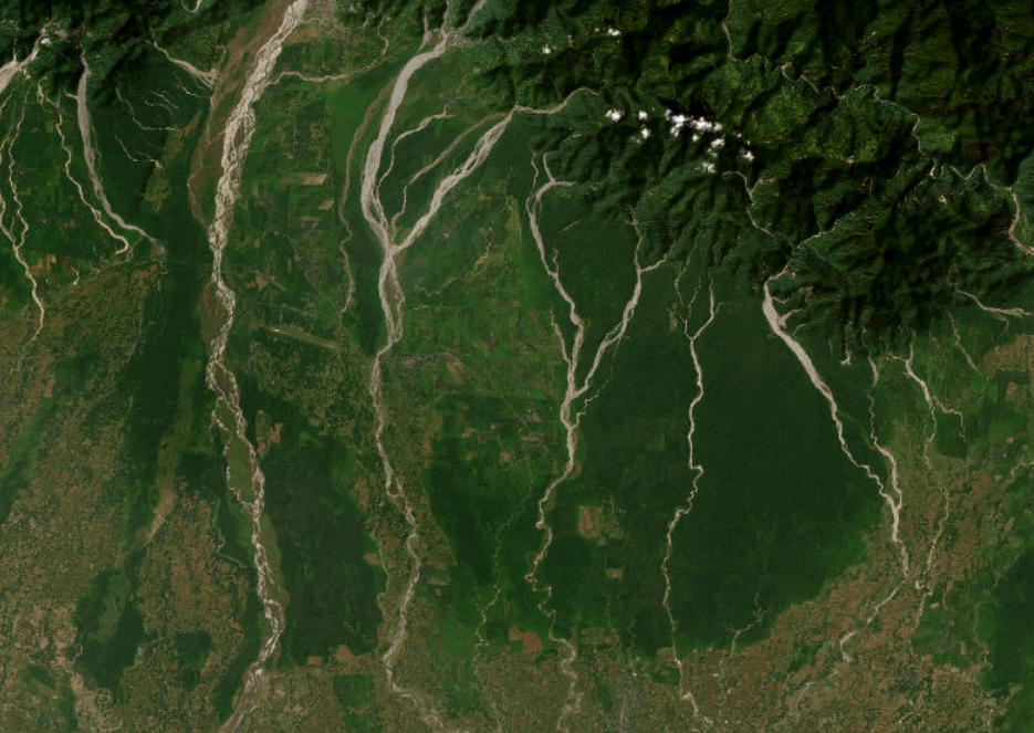 Fragmented elephant habitat landscape