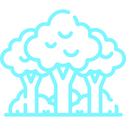 Tinyforest icon