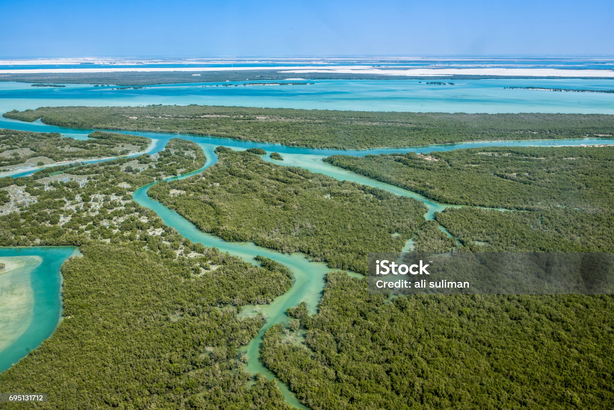 Aerial view of a mangrove forest delta, with tidal channels winding through dense mangrove canopy between turquoise water and open sea